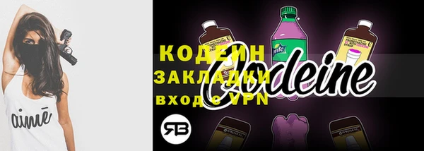 амф Пересвет