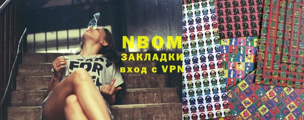 прущий лед Алзамай